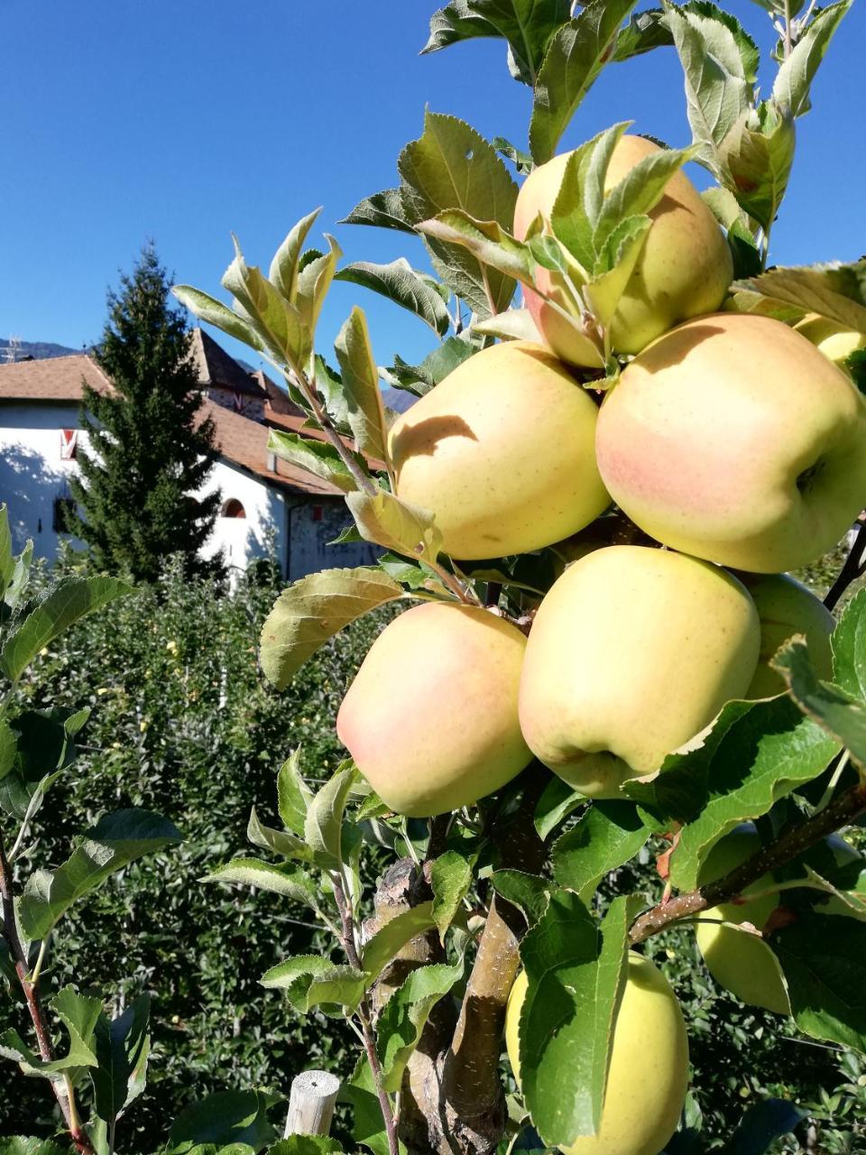Willa Agritur Ciastel Sanzeno Zewnętrze zdjęcie